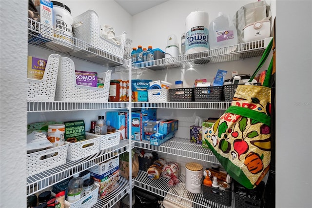 5208 Dandelion St, Apollo Beach, FL 33572 - view of pantry