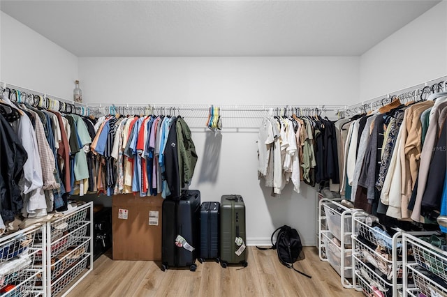 5208 Dandelion St, Apollo Beach, FL 33572 - walk in closet with wood finished floors
