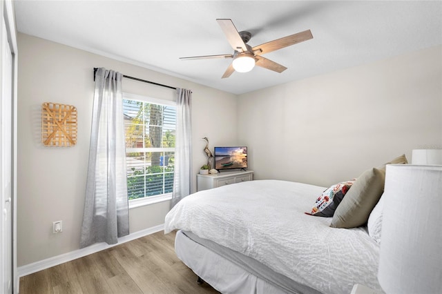 5208 Dandelion St, Apollo Beach, FL 33572 - bedroom with baseboards, light wood-style floors, and ceiling fan