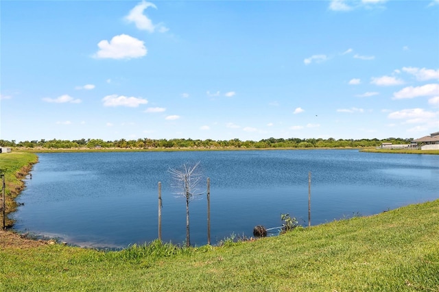5208 Dandelion St, Apollo Beach, FL 33572 - property view of water