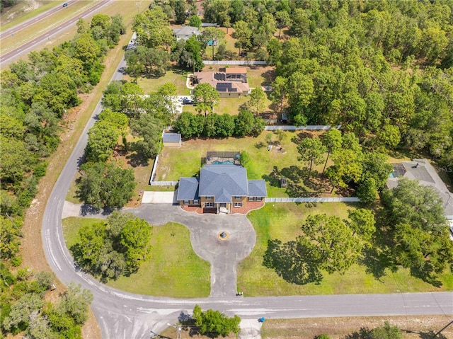 bird's eye view