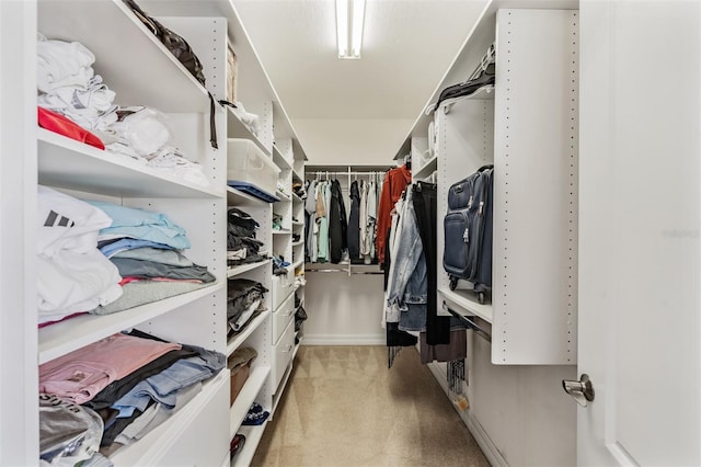 spacious closet featuring light carpet