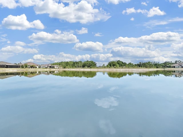 4300 Barletta Ct, Wesley Chapel, FL 33543 - water view