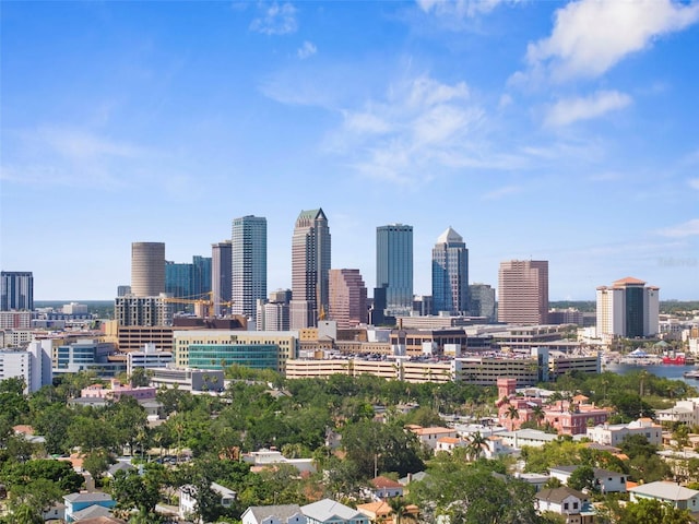 105 E Davis Blvd Unit A, Tampa, FL 33606 - property's view of city