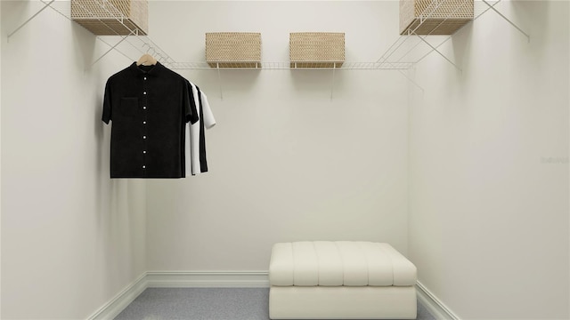 11554 71st Ave E, Palmetto, FL 34221 - view of spacious closet