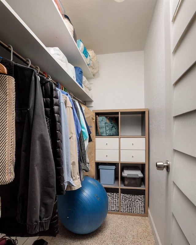 2487 W Bay Isle Dr SE, Saint Petersburg, FL 33705 - view of walk in closet