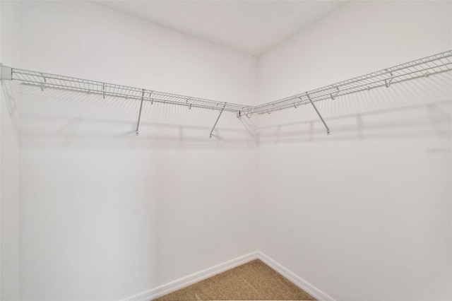spacious closet featuring light carpet