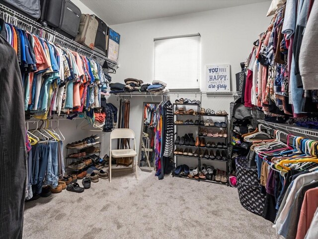 walk in closet featuring carpet flooring