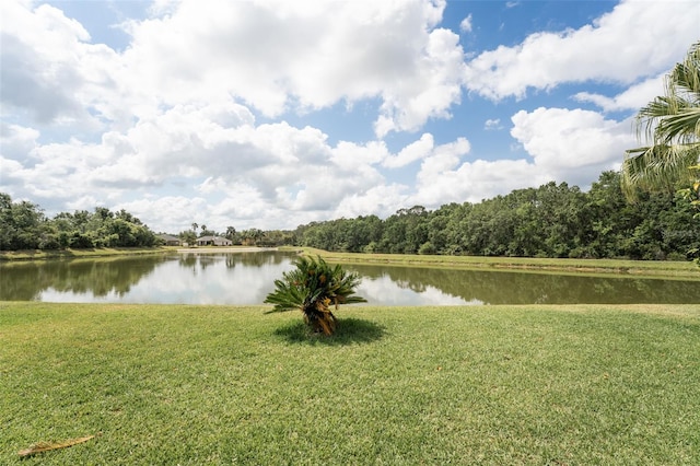 29542 Forest Glen Dr, Wesley Chapel, FL 33543 - water view featuring a wooded view