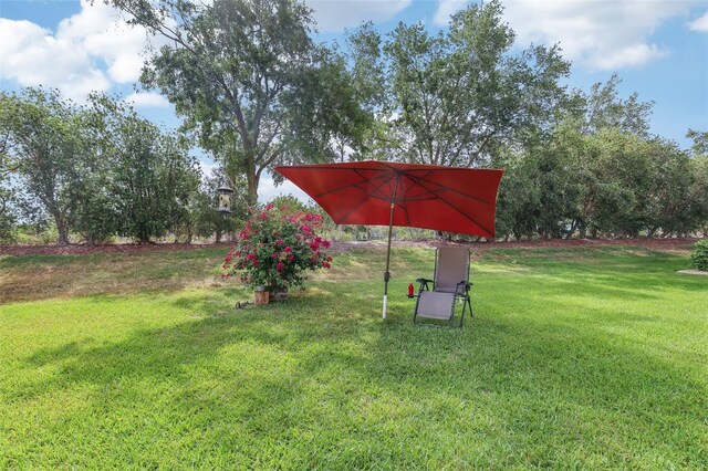 20254 Ravens End Dr, Tampa, FL 33647 - view of yard