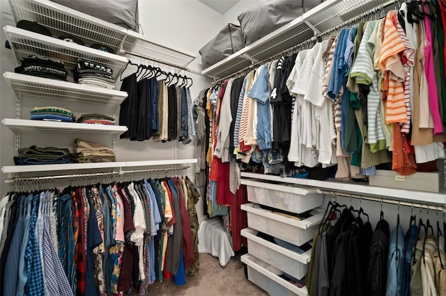 spacious closet with carpet
