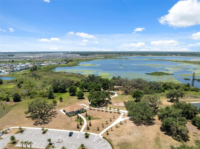 31970 Blue Passing Loop, Wesley Chapel, FL 33545 - aerial view of a large body of water