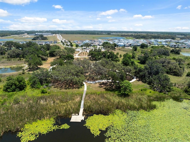 31970 Blue Passing Loop, Wesley Chapel, FL 33545 - drone / aerial view of a nearby body of water