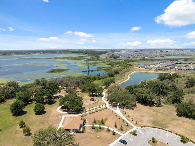 31970 Blue Passing Loop, Wesley Chapel, FL 33545 - bird's eye view of a nearby body of water
