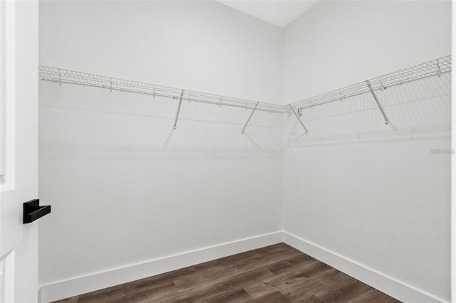 121 E Warren Ave Unit 1, Tampa, FL 33602 - walk in closet featuring dark wood-style floors