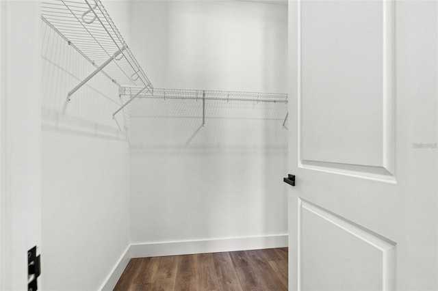 121 E Warren Ave Unit 1, Tampa, FL 33602 - walk in closet featuring dark wood finished floors