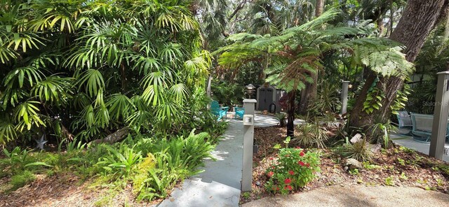 309 Gator Aly, Lake Wales, FL 33898 - photo 4