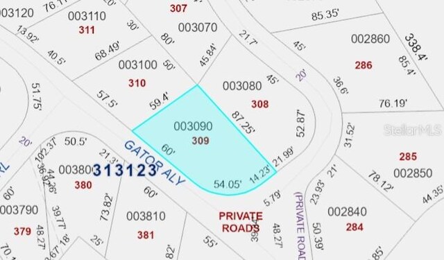 309 Gator Aly, Lake Wales, FL 33898 - photo 14