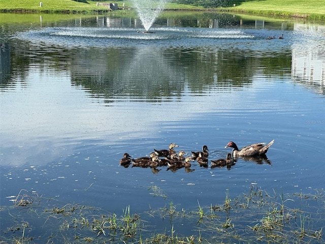 water view