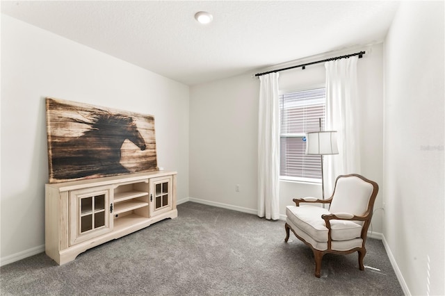 35780 Sunflower Hill Dr, Zephyrhills, FL 33541 - living area featuring baseboards and carpet