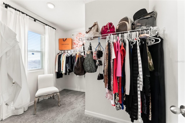 35780 Sunflower Hill Dr, Zephyrhills, FL 33541 - walk in closet featuring carpet flooring