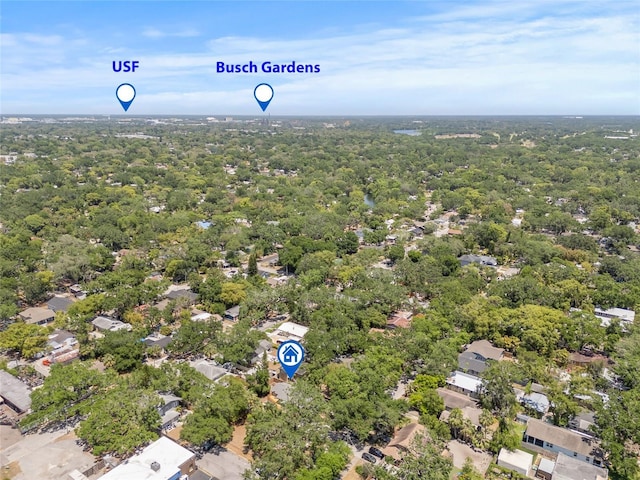 906 E Broad St, Tampa, FL 33604 - bird's eye view of a heavily wooded area