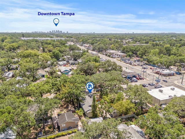 906 E Broad St, Tampa, FL 33604 - bird's eye view