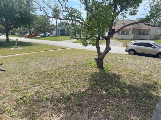 2435 37th Ave N, Saint Petersburg, FL 33713 - view of grassy yard