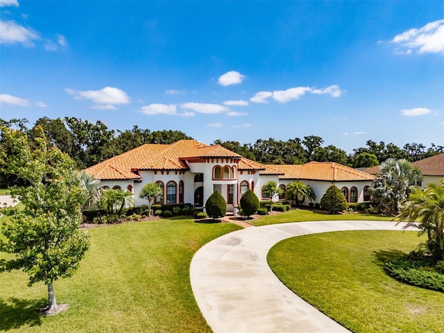 mediterranean / spanish home with curved driveway, stucco siding, a front yard, and a tile roof