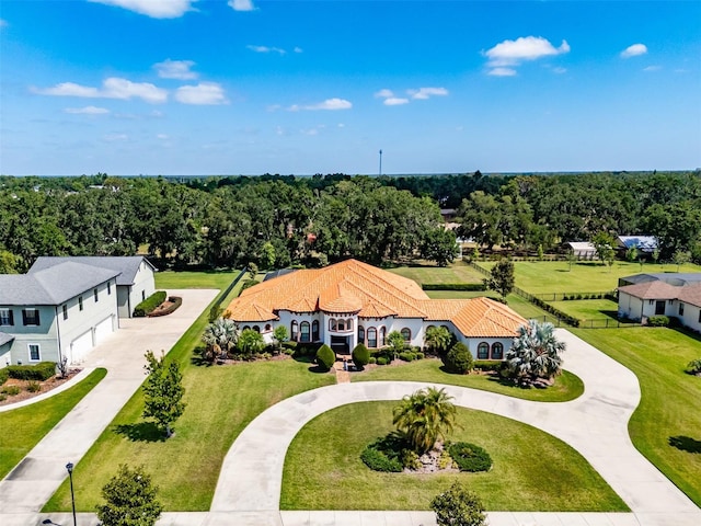 drone / aerial view