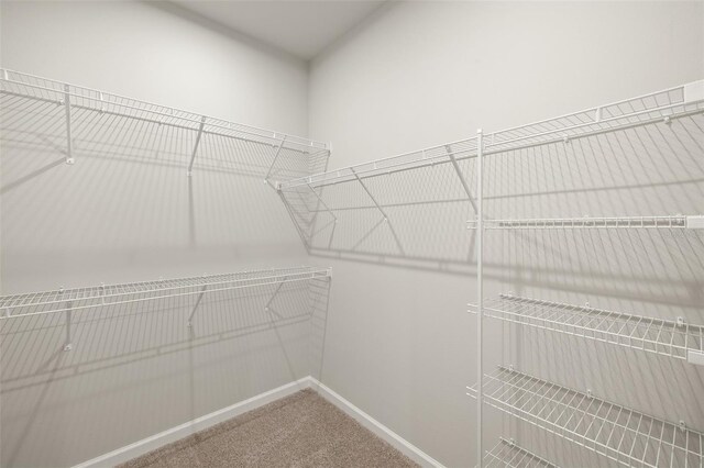 20423 Symphony Pl, Venice, FL 34293 - walk in closet featuring carpet