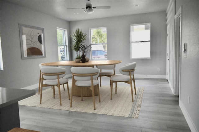 dining room featuring ceiling fan, baseboards, and wood finished floors
