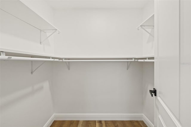 walk in closet featuring wood finished floors