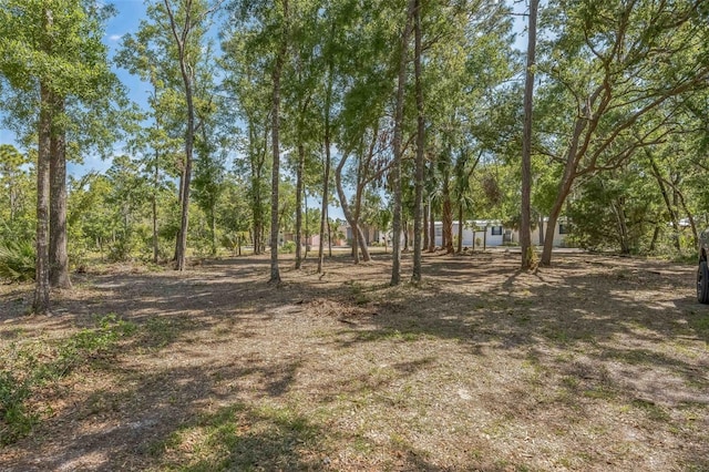 526 Kings Creek Cir, Steinhatchee, FL 32359 - view of yard