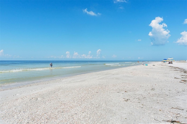 14506 Alejo Ct, Seminole, FL 33776 - water view with local beach
