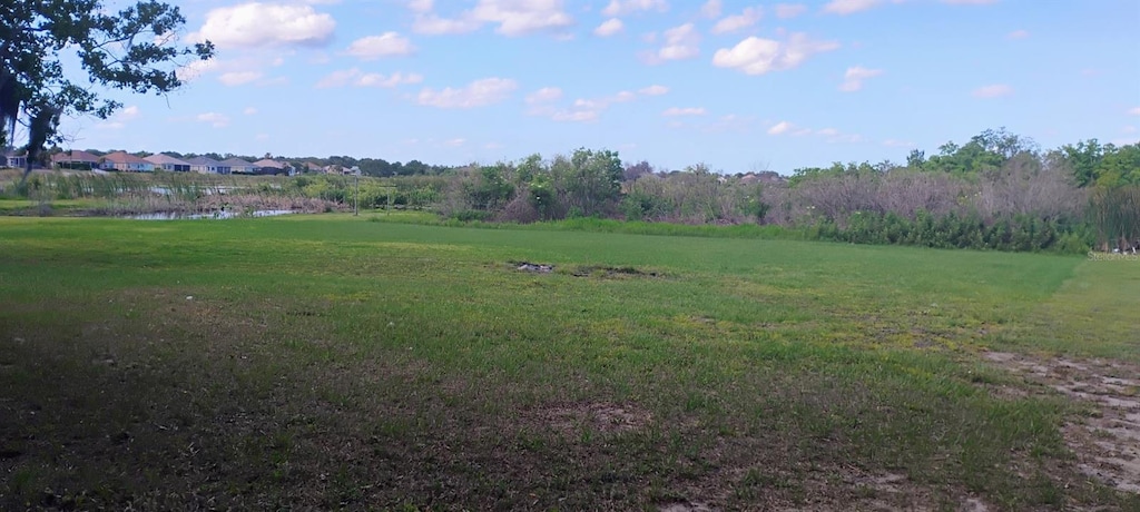 view of yard with a water view