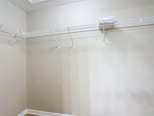1639 Saddlehorn Dr, Lakeland, FL 33810 - view of spacious closet