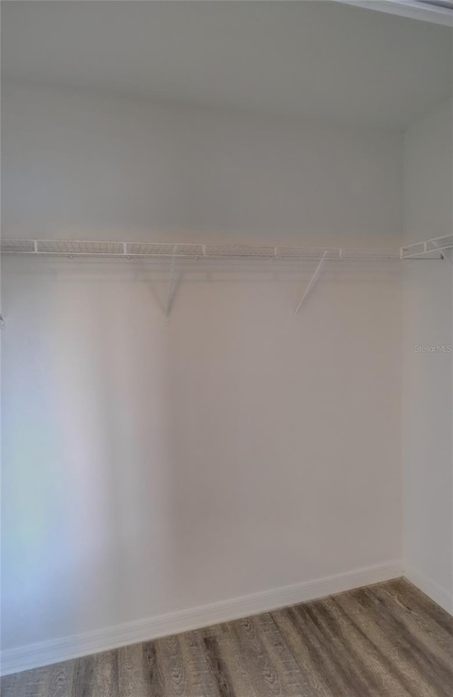 spacious closet featuring wood finished floors