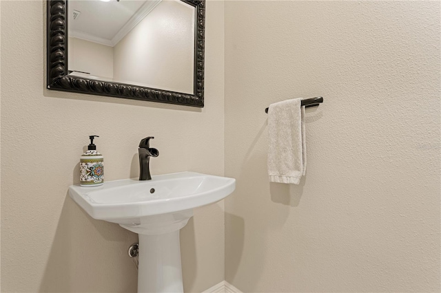 bathroom featuring ornamental molding and a sink