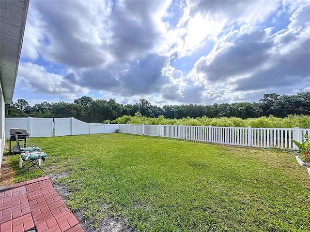 3205 Royal Tern Dr, Winter Haven, FL 33881 - view of yard featuring a fenced backyard