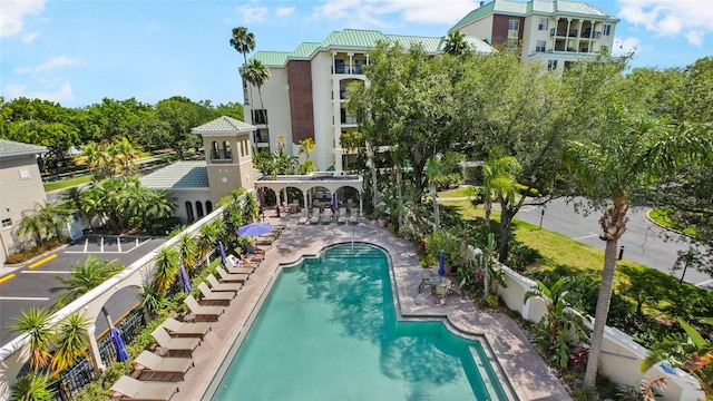 501 Knights Run Ave Unit 1335, Tampa, FL 33602 - community pool with a patio