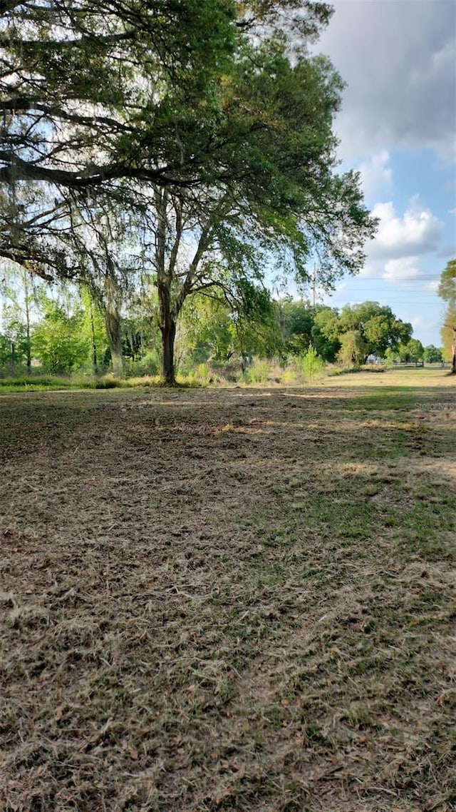 44150 County Road 54 E, Kathleen, FL 33849 - photo 4