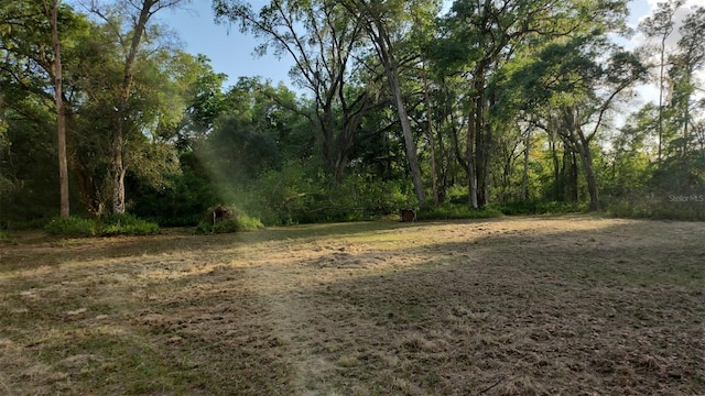 44150 County Road 54 E, Kathleen, FL 33849 - photo 5