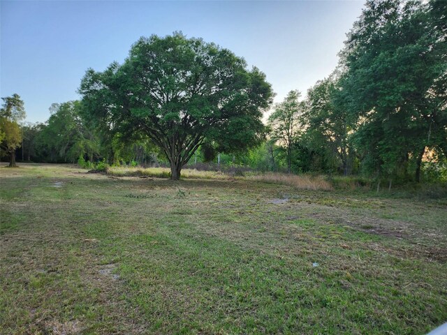 44150 County Road 54 E, Kathleen, FL 33849 - photo 6