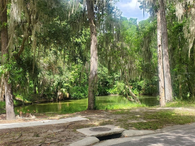 44150 County Road 54 E, Kathleen, FL 33849 - photo 9