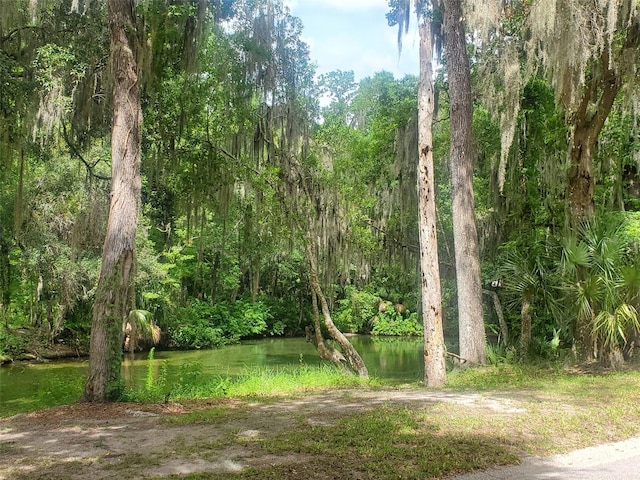 44150 County Road 54 E, Kathleen, FL 33849 - photo 10
