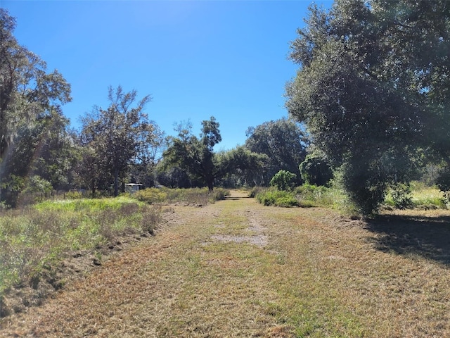 44150 County Road 54 E, Kathleen, FL 33849 - photo 16