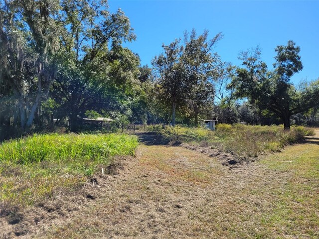 44150 County Road 54 E, Kathleen, FL 33849 - photo 19
