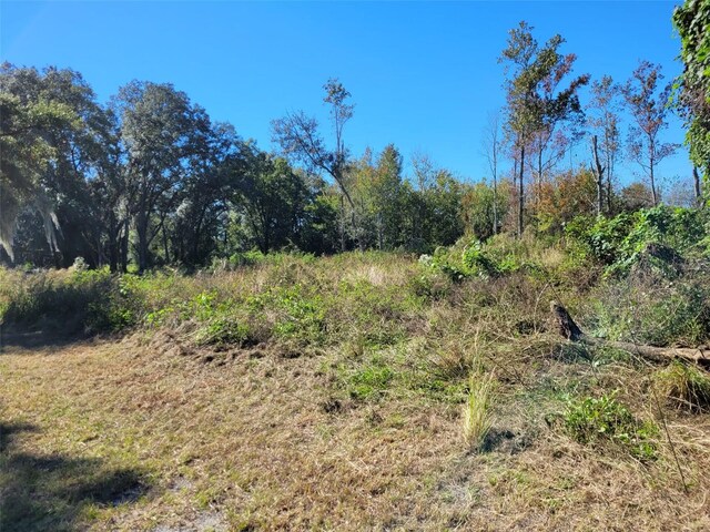 44150 County Road 54 E, Kathleen, FL 33849 - photo 20