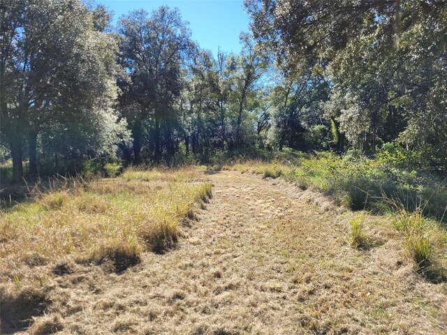 44150 County Road 54 E, Kathleen, FL 33849 - photo 23